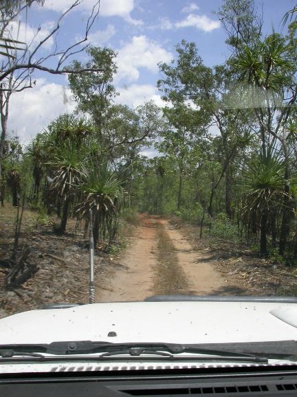 Road to West Aligator heads / river mouth